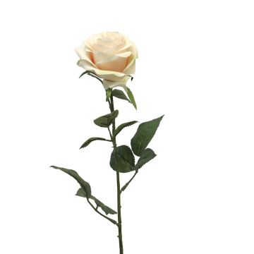 Rose artificielle KAILIN, crème-rose, 65cm