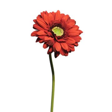 Fleur artificielle Gerbera QIUDONG, rouge, 50cm