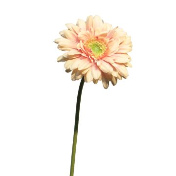 Fleur artificielle Gerbera QIUDONG, pêche-rose, 50cm