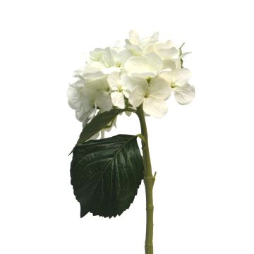 Fleur artificielle hortensia XINCHENG, blanc, 50cm