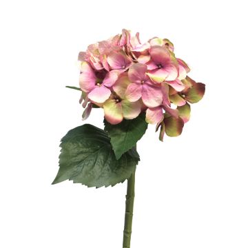 Fleur artificielle hortensia XINCHENG, rose-vert, 50cm