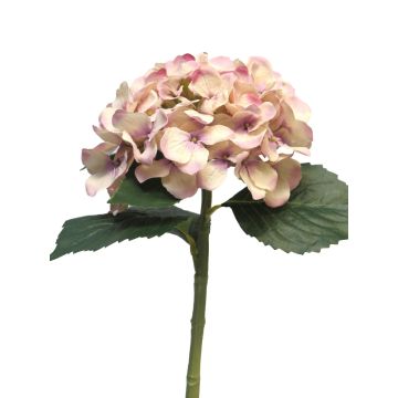 Fleur artificielle hortensia XINCHENG, vieux rose, 50cm