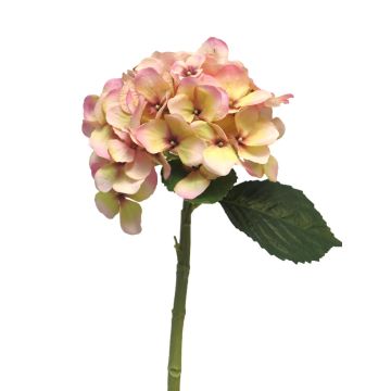 Fleur artificielle hortensia XINCHENG, rose-jaune, 50cm