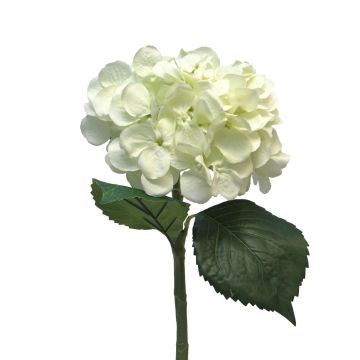 Fleur artificielle hortensia FUXIANG, crème, 50cm