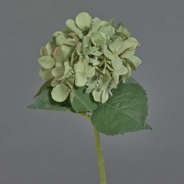 Fleur artificielle hortensia FUXIANG, vert-rose, 50cm