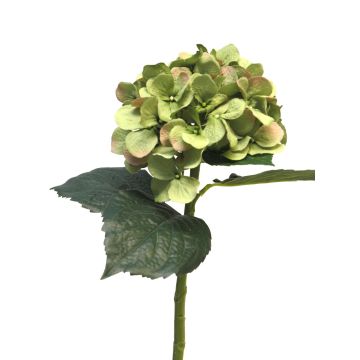 Fleur artificielle hortensia FUXIANG, vert-rose, 50cm