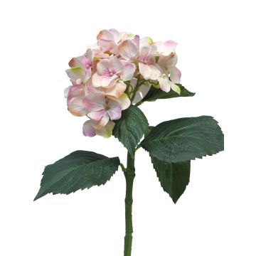 Fleur artificielle hortensia FUXIANG, rose-crème, 50cm