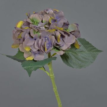 Fleur artificielle hortensia FUXIANG, violet-vert, 50cm