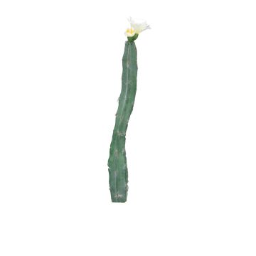Cactus colonnaire décoratif ANRAN avec fleurs, piquet, crème, 35cm