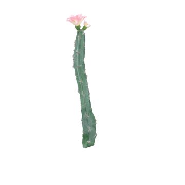 Cactus colonnaire décoratif ANRAN avec fleurs, piquet, rose, 35cm