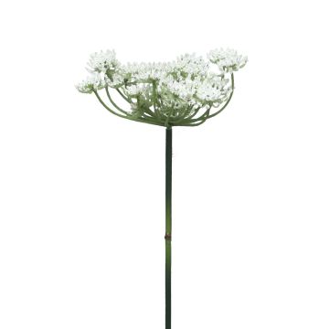 Fleur décorative achillée XIAOYA, blanc, 70cm