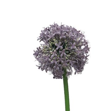 Fleur en plastique Allium SHUJIN, violet, 65cm