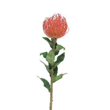Fleur artificielle Leucospermum Protea XIFANG, rouge, 75cm