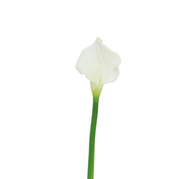 Fleur artificielle Zantedeschia ZHILONG, blanc, 55cm