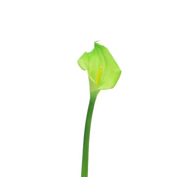 Fleur artificielle Zantedeschia ZHILONG, vert clair, 55cm