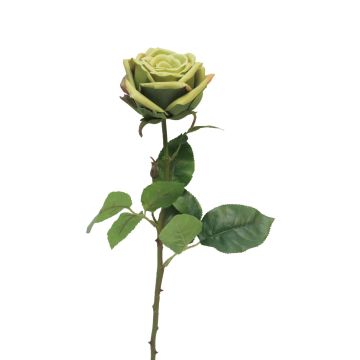 Fleur artificielle Rose JIANHUA, vert, 70cm