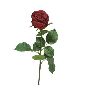 Fleur artificielle Rose JIANHUA, rouge foncé, 70cm