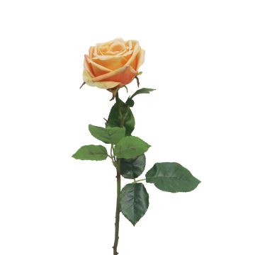 Fleur artificielle Rose JIANHUA, pêche, 70cm
