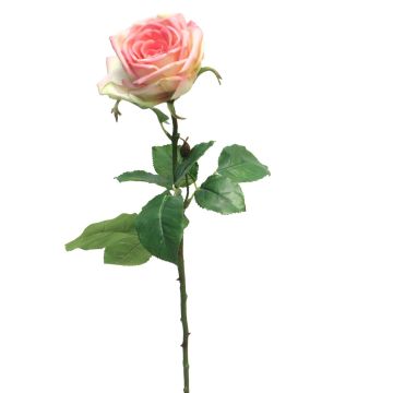 Fleur artificielle Rose JIANHUA, rose-vert, 70cm