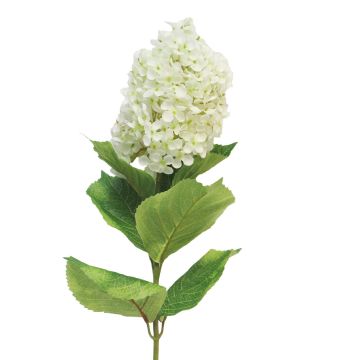 Fleur artificielle Hortensia Paniculata YANGDAN, crème, 85cm