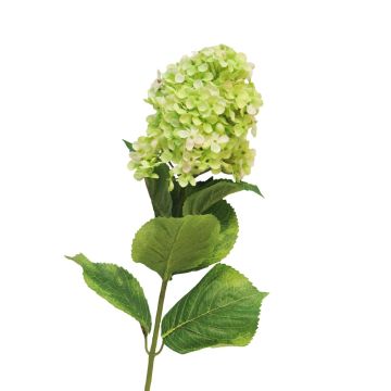 Fleur artificielle Hortensia Paniculata YANGDAN, vert clair, 85cm