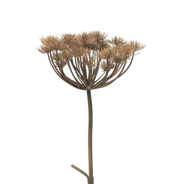 Fleur artificielle de berce MIANYAN, brun-gris, 100cm