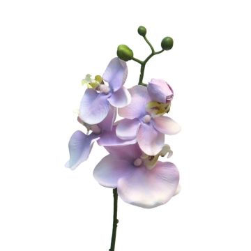 Branche d'orchidée Phalaenopsis artificielle WENSHUO, rose-lilas, 55cm