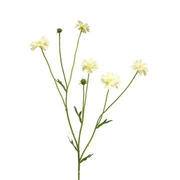 Branche décorative de Centaurea TAOTAO, crème, 65cm
