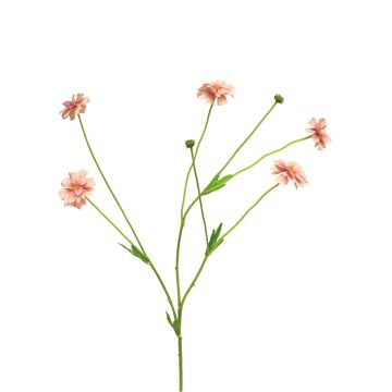 Branche décorative de Centaurea TAOTAO, rose, 65cm
