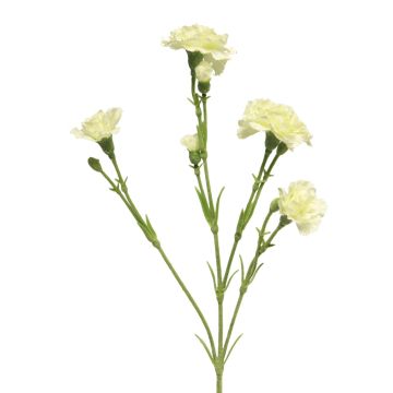 Fleur artificielle œillet AHONG, crème, 60cm