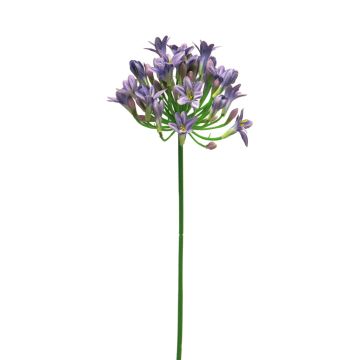 Fleur décorative Agapanthus ASONG, lilas-bleu, 75cm