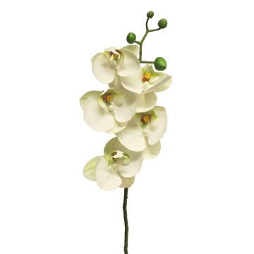 Orchidée Phalaenopsis artificielle sur tige SONGYA, blanc, 55cm