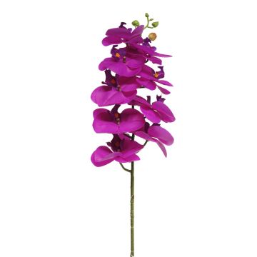 Orchidée Phalaenopsis artificielle sur tige SONGYA, fuchsia, 75cm