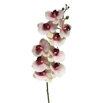 Orchidée Phalaenopsis artificielle sur tige SONGYA, fuchsia-crème, 105cm