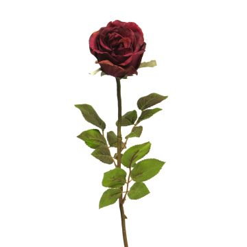 Fleur artificielle Rose CONGMIN, rouge bourgogne, 70cm