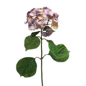 Fleur artificielle Hortensia MEITAO, lilas-pêche, 70cm