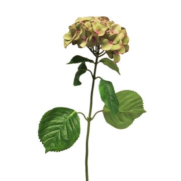 Fleur artificielle Hortensia MEITAO, vert-fuchsia, 70cm