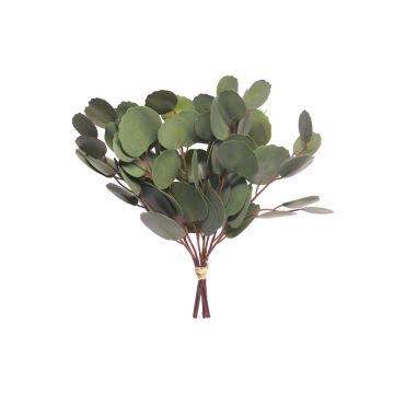 Fagot d'eucalyptus artificiel DONGXU, vert, 30cm