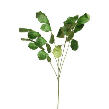 Branche décorative de Maranta JIEBAI, vert, 115cm