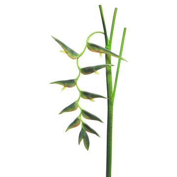Fleur décorative Heliconia JIANG, vert foncé, 130cm