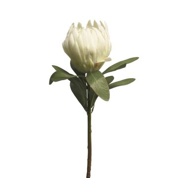 Fleur décorative Protea JIAHUI, blanc, 70cm