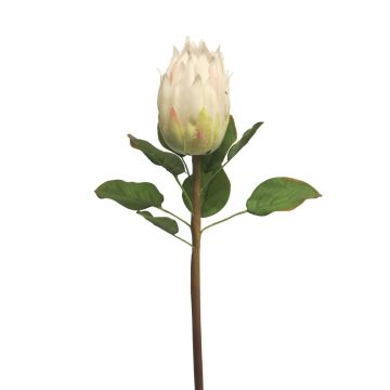 Fausse fleur de protea SHUHUI, blanc, 60cm