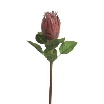 Fausse fleur de protea SHUHUI, rouge, 60cm