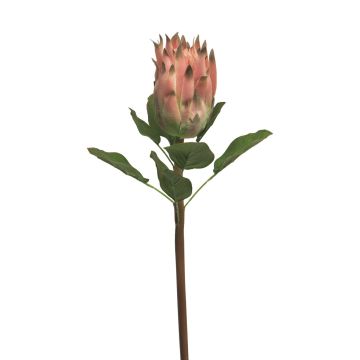 Fausse fleur de protea SHUHUI, fuchsia, 60cm