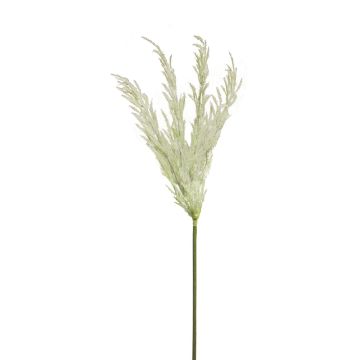 Herbe de la Pampa décorative Panicule ANNING, blanc, 100cm