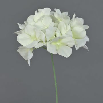 Fleur décorative Hortensia FUHUA, crème, 25cm Fleur décorative Hortensia FUHUA, crème, 25cm