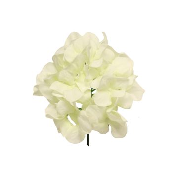 Fleur décorative Hortensia FUHUA, crème, 25cm