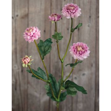 Chrysanthème artificiel RYON, rose-vert, 70cm, Ø3-5cm