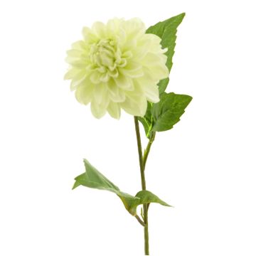 Fleur artificielle dahlia WANRU, crème, 50cm