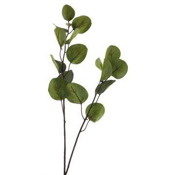 Branche décorative Eucalyptus AOSHAN, vert, 80cm